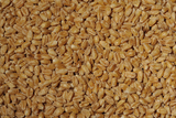 Whole Wheat, 16 oz (1 lb) bag - Parthenon Foods