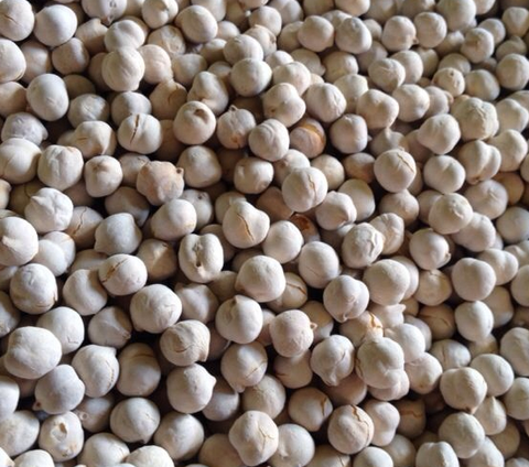 White Chick Peas (Shahia) 10.5 oz (300g) - Parthenon Foods