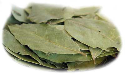 Bay Leaves, approx. 0.10 lb - Parthenon Foods