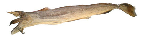 Stockfish, all about fish on Gourmetpedia